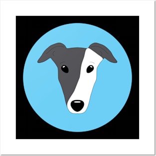 Blue and white greyhound face Posters and Art